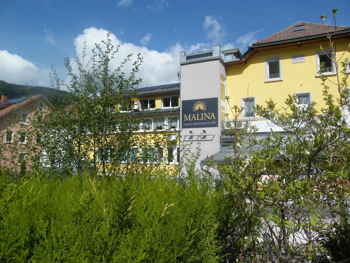 Malina Luxury Apartments And Spa Todtnau Exterior foto